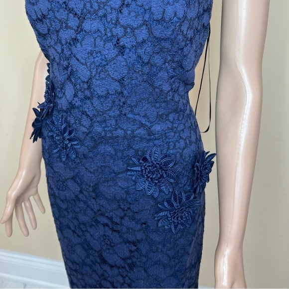 Maggy London lace midi dress - Picture 6 of 16